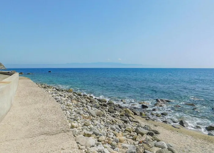 Amazing In Apartamento